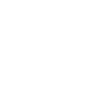 icnSecurity